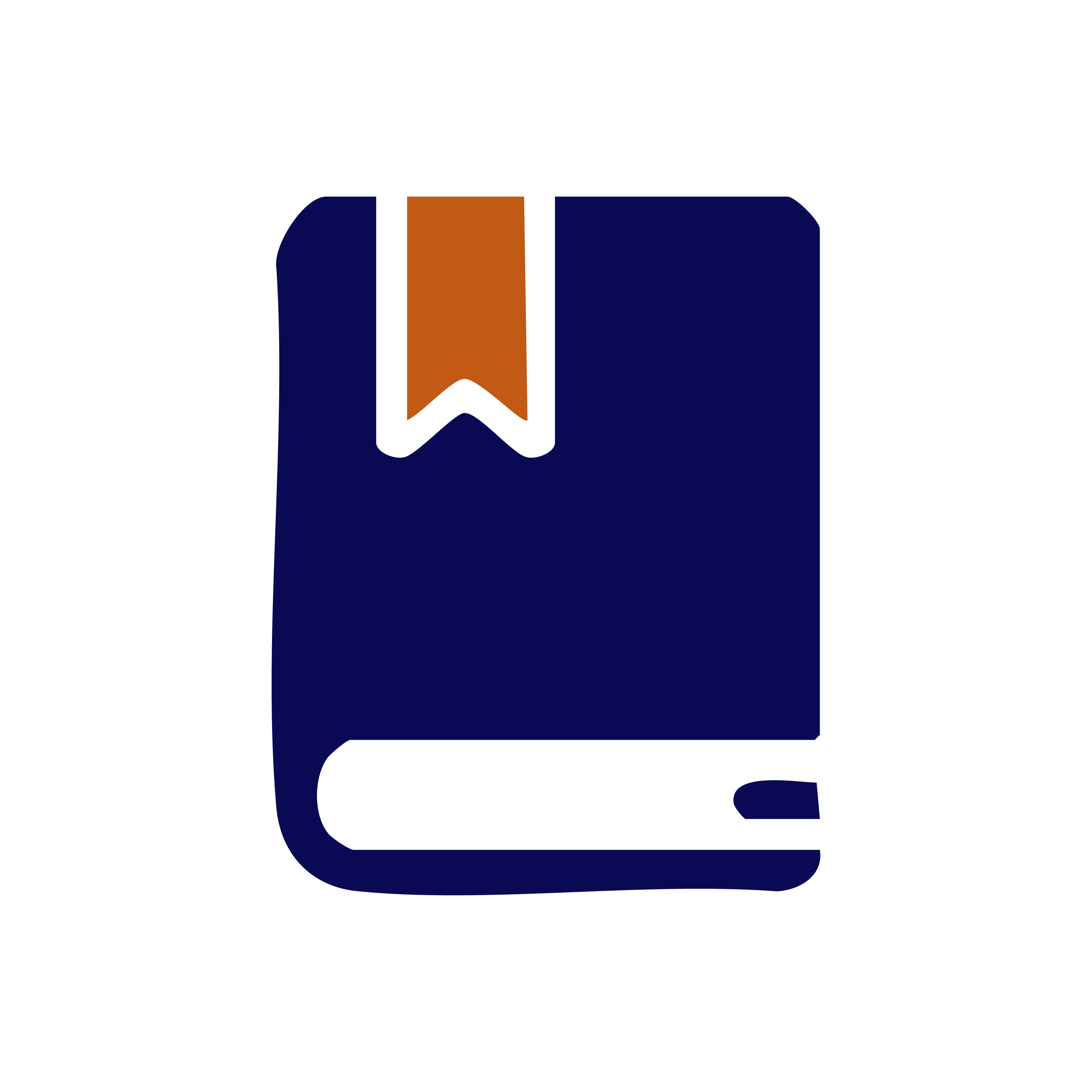 Novel