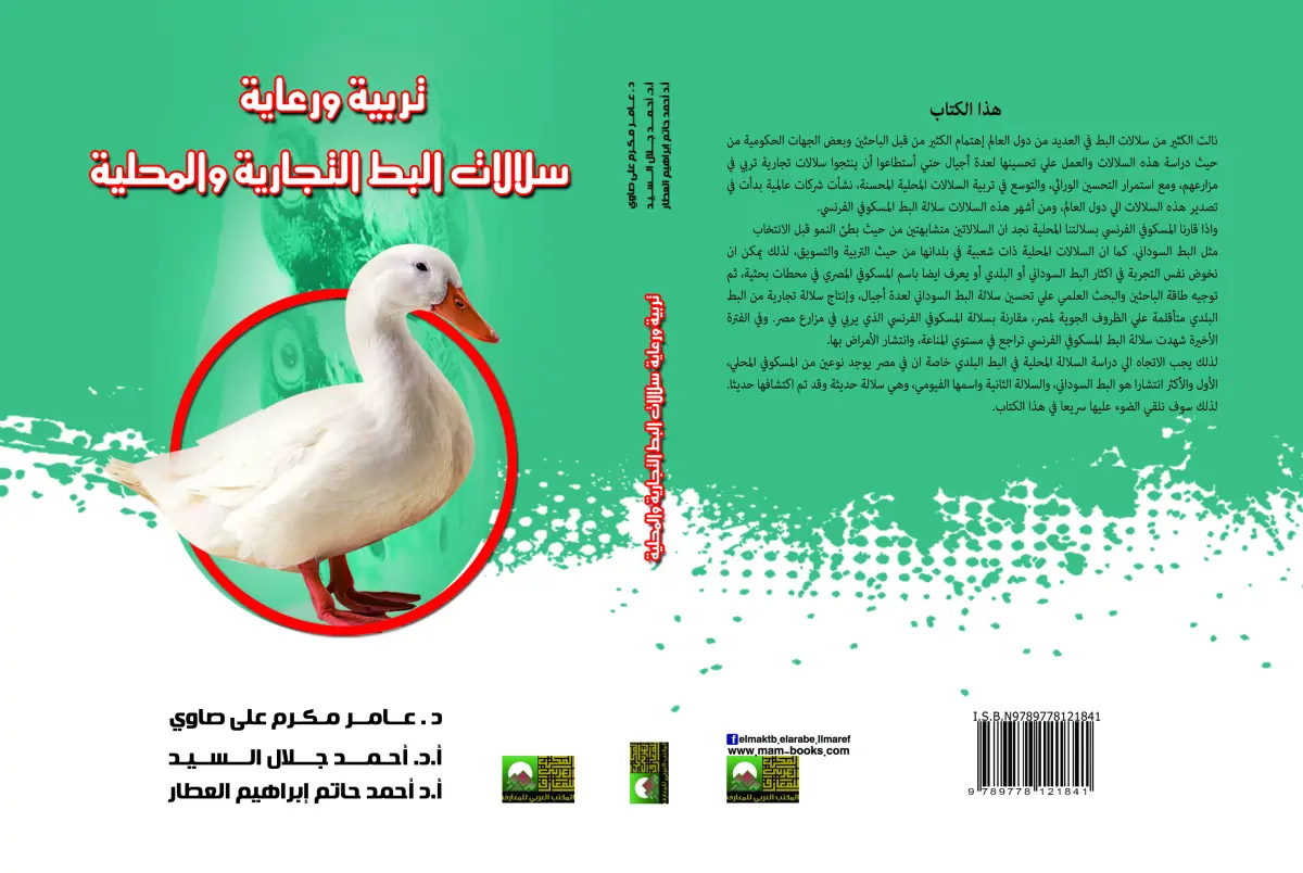 تربية ورعاية سلالات البط التجارية والمحلية