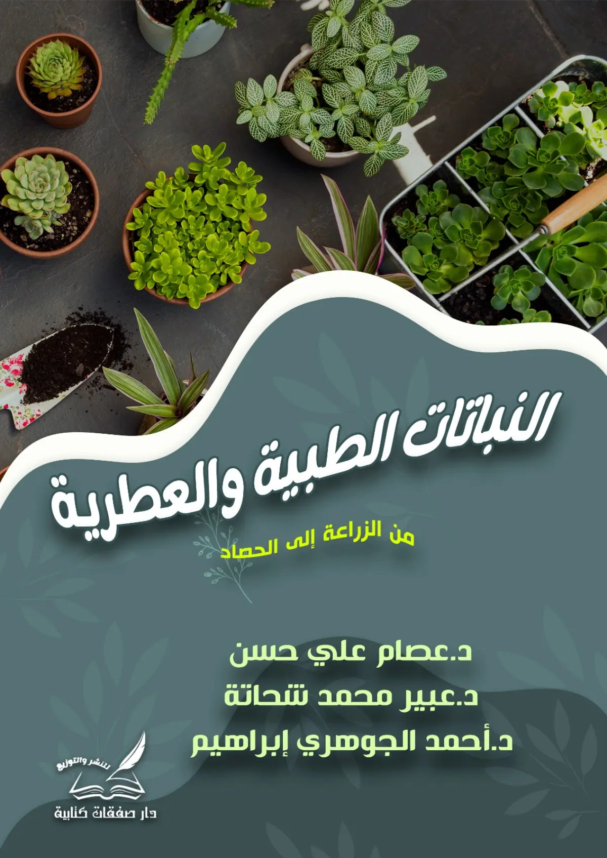 النبات الطبية والعطرية