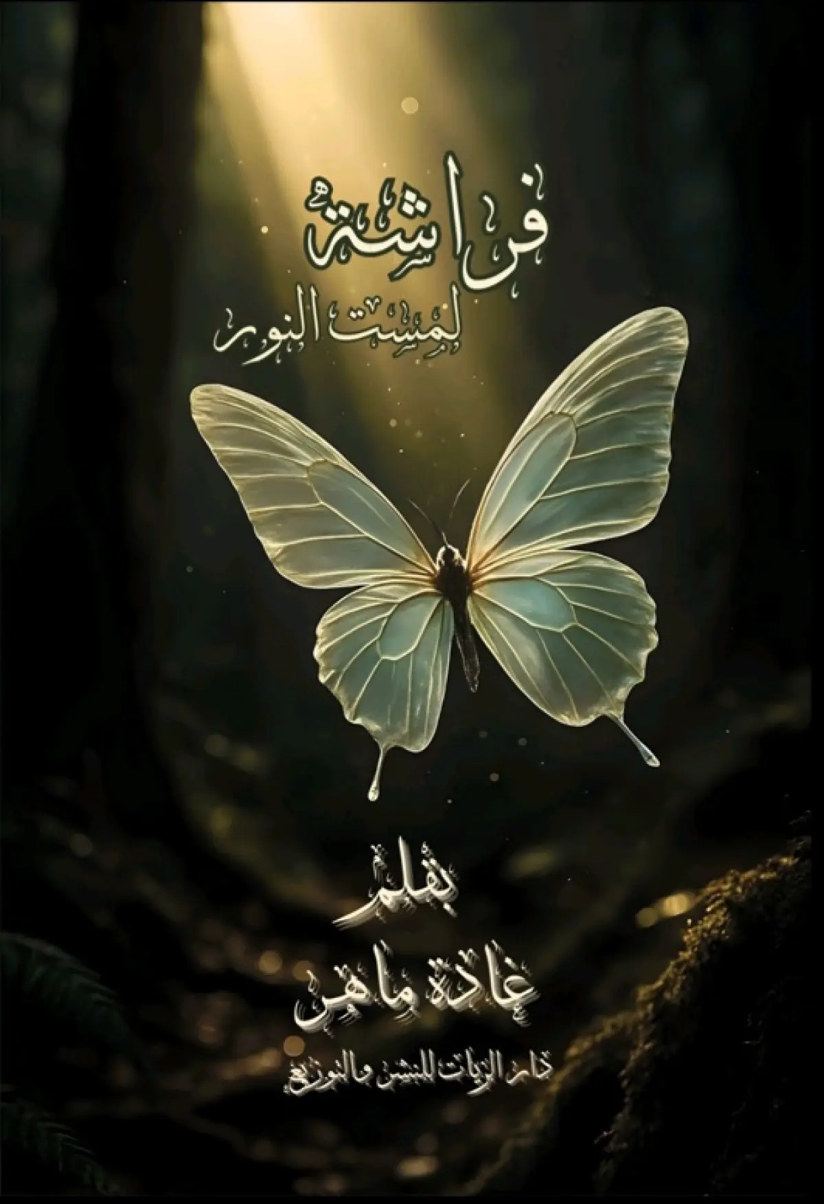 فراشة لمست النور